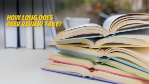 how long does peer review take